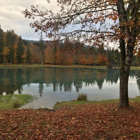 Villa Chalet Alliance Entre Calme Et Plaisir Morillon Exterior foto